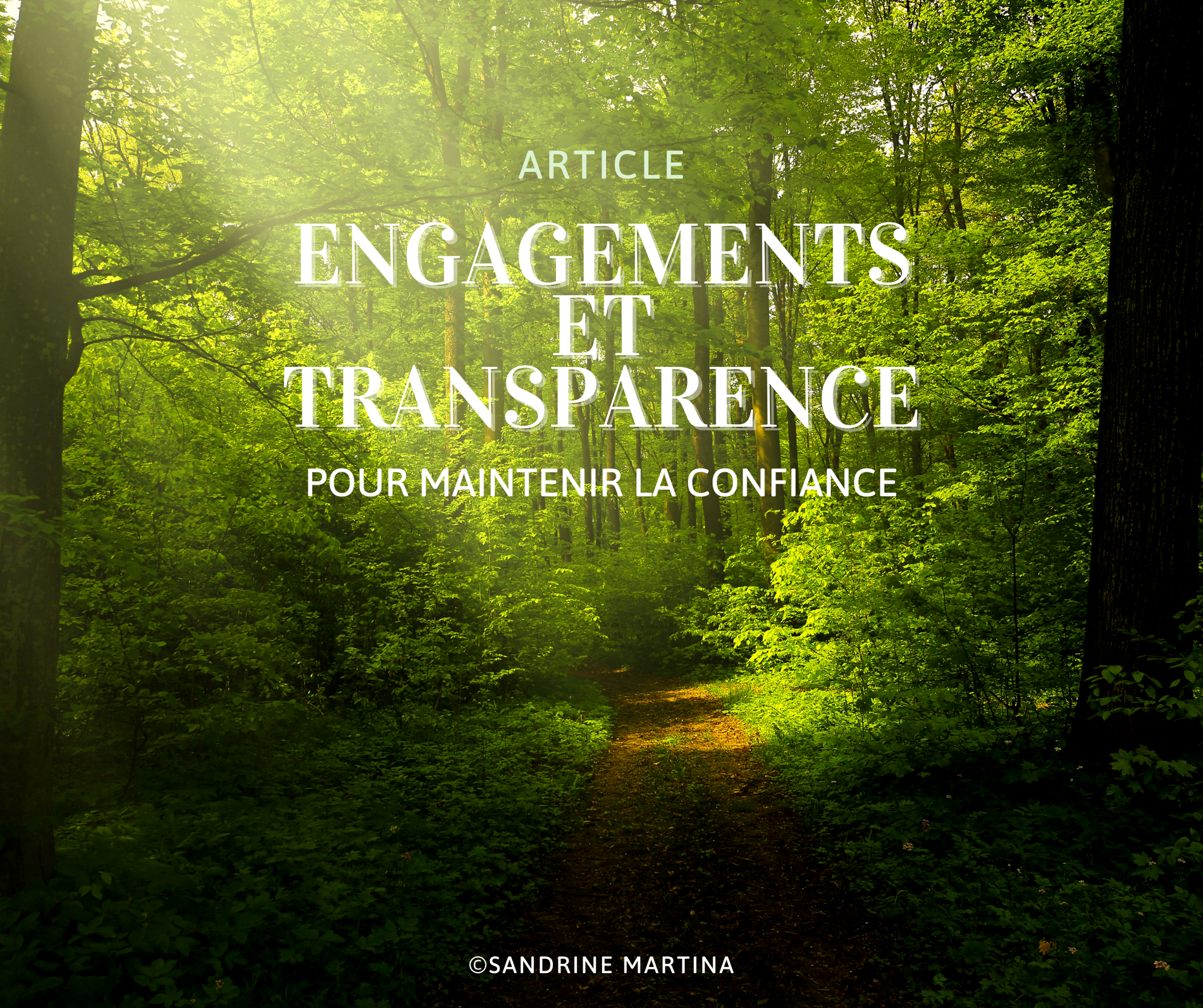 Article engagements et transparence hypnose guingamp sandrine martina foret nature paisible 2024